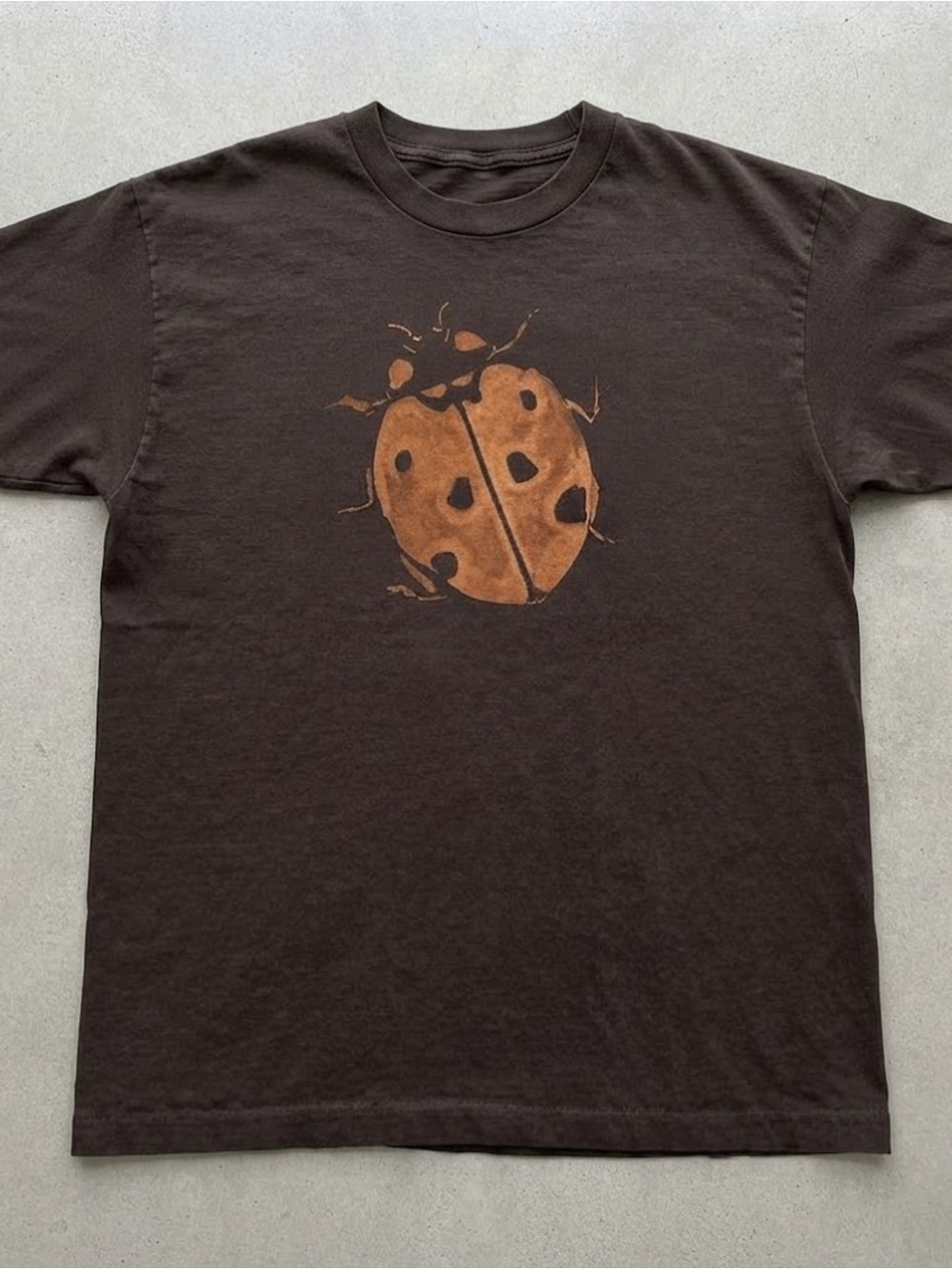 Ladybug Graphic Print Gildan T-shirt Dark Brown Cotton Tee